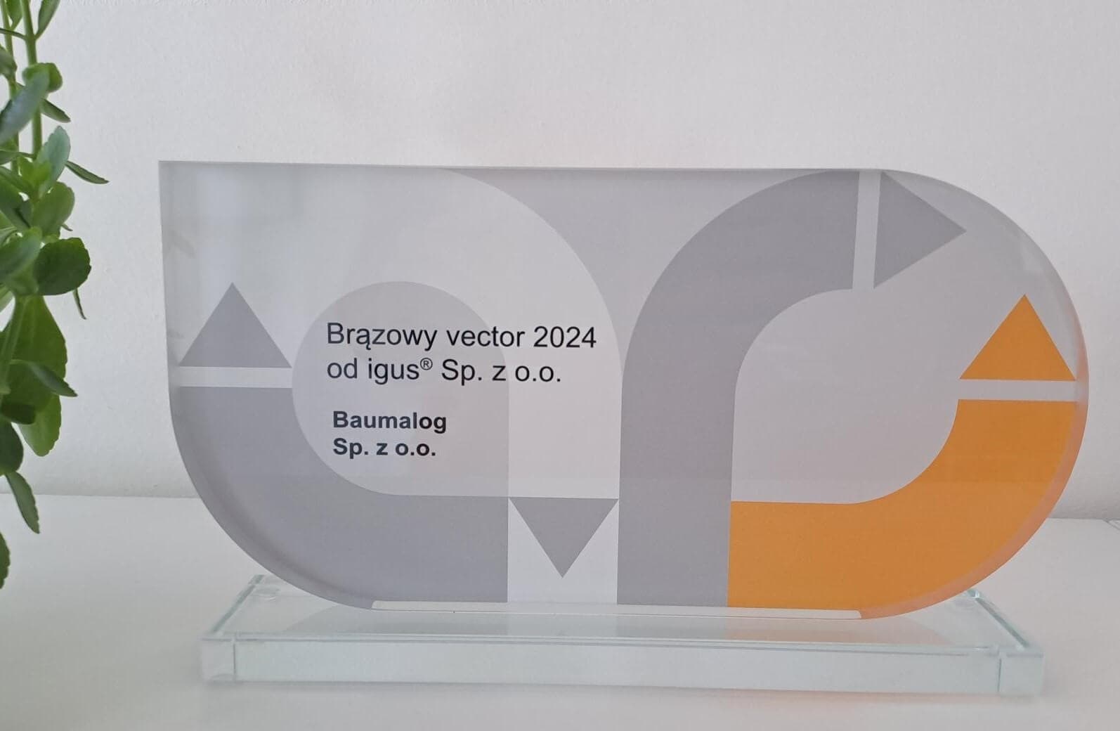 VECTOR 2024 award